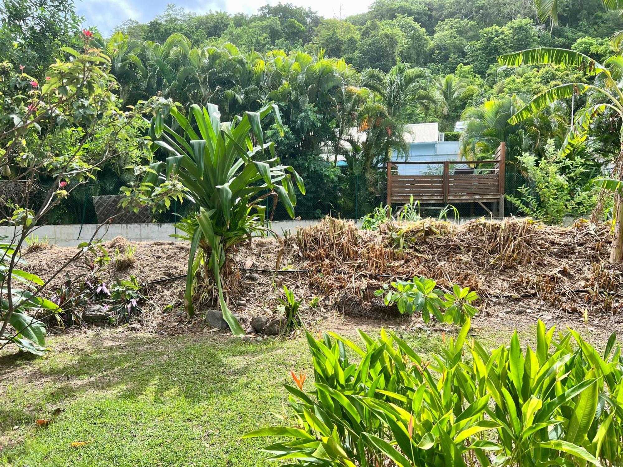 Baz Creole Villa Deshaies Exterior photo